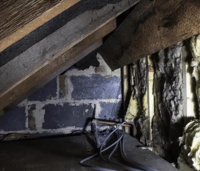 Mold Remediation, Mold, Mold Prevention, Mold in Crawl Space